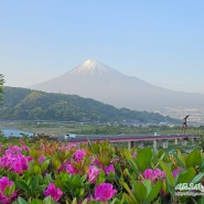 시즈오카 여행 :: 온 가족이 나들이 가기 좋은 시즈오카의 '가족여행 명소'