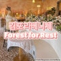 [내돈내산] 김포 라베니체 유럽 분위기 포레스트 포 레스트 카페 (Forest for Rest)
