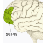 만성통증의 뇌와 우울증의 뇌는 비슷하다. #행신동PT #서정마을PT #소만마을PT #서정마을헬스장