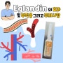 Eglandin의 효과 혈류를 회복하는 약물 용법과 부작용 및 주의사항