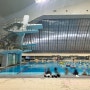 [프리다이빙] 서울 올림픽공원 잠수풀에서 연습 (예약, 주차, 이용방법)