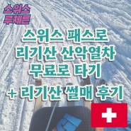 스위스 패스로 산악열차 무료 이용이 가능한 루체른 리기산 산악열차 타고 올라가서 리기산 썰매 타기