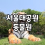 5월 아이와 갈만한곳 과천 서울대공원 코끼리열차 동물원 주차장