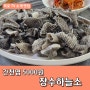 옥포 송해공원 생생정보통 맛집 장수하늘소