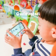 유아교구 어린이날 선물 플레이큐리오 AR 공룡 동물놀이카드