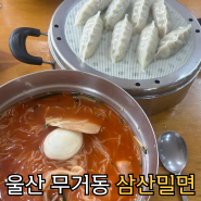 [울산맛집] 무거동 울산대 앞 여름철 웨이팅 있는 현지인 맛집 "삼산밀면"+만두