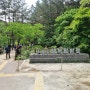 [대전]계룡산 수통골 행복탐방로 산책/수통골감나무집 점심