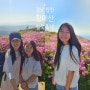 [경남 합천] 매년 가는 황매산 군립공원 철쭉 꽃 축제 실시간 1,2군락지 포토존 (주차장 이용 팁)