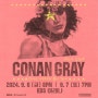 해외 내한 공연) 코난 그레이 내한공연 (Conan Gray - Found Heaven On Tour in Seoul) 티켓 선 예매