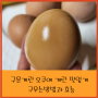 구운계란 오쿠에 계란 맛있게 구우는 방법과 효능