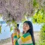 남해 등나무 명소 냉천갯벌체험장 5월 꽃구경
