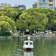 [후쿠오카 여행] 오호리 공원 (스타벅스, 축제, 오리 배, 자전거, BBQ 캠핑)