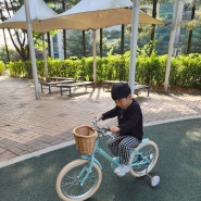 자이크 유아 자전거 [자이키즈] 어린이날 6살 아이 선물로 내돈내산