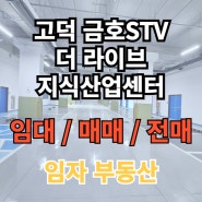 평택 고덕 금호 STV 더 라이브 지식산업센터 임대, 전매