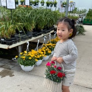 아이랑 가정의달 5월 어버이날 스승의날 카네이션 구입하기(가격정보 꽃상태)