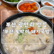 광안리 맛집) 해장 추천/ 잡내없이 깔끔한 국물 :: 부산 토박이 돼지국밥