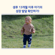 생후 13개월 이후 아기의 성장 발달 확인하기!