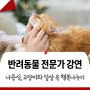 [강연] 나응식 수의사가 말하는 반려동물 가족의 고양이와 일상 속 행복한 마음 나누기!