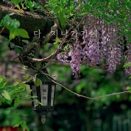 경기도 수원 가볼만한곳, 사람없는 5월 수원 꽃구경은 여기로 : 삼풍가든