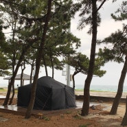 경북 울진캠핑 EP.1｜바다가 바로 보이는 기성망양해수욕장 해빛뜰 마을 캠핑장(15번 데크)
