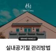 봄여름가을겨울 4계절, 피톤치드로 실내 공기질 개선 및 관리 방법 (1편)