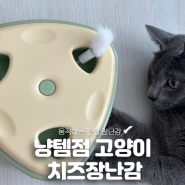 움직이는 장난감 냥템점 자동 고양이 치즈장난감 리뷰