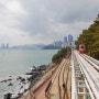 부산 해운대 블루라인파크 스카이캡슐 해변열차 패키지 할인 예약 팁