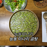 50번째 국밥 - 능동미나리 : 능동 미나리 곰탕