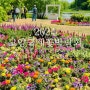 일산호수공원 2024 고양 국제 꽃박람회 내돈내산 관람 후기