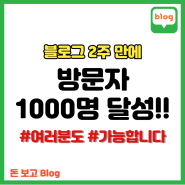 블로그 시작 2주 만에 방문자 1000명 달성!!