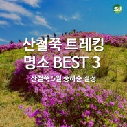 5월 산철쭉 명소 BEST 3 : 소백산 국망봉&비로봉, 지리산 바래봉, 정선 두위봉