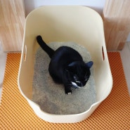 강집사 초대형 고양이 화장실 w 청소 방법