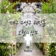 대구 오월의 신부 수성구 웨딩ㅣ스몰 웨딩 단독홀 유명한 결혼식장