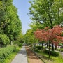 5월 서울 가볼만한곳 경춘선 숲길 화랑대철도공원 카페 기차가있는 풍경