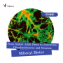 [Miltenyi BIotec] From Rodent Adult Brain to Astrocytes, Oligodendrocytes and Neurons