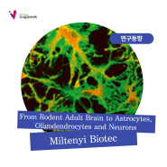 [Miltenyi BIotec] From Rodent Adult Brain to Astrocytes, Oligodendrocytes and Neurons