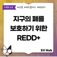 [스픽의 키워드텔링] 지구의 폐를 보호하기 위한 REDD+