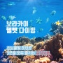 보라카이 액티비티 1순위) 보라카이 헬멧다이빙 후기, 패키지 추천!