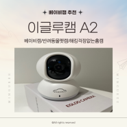 [베이비캠 추천] 이글루캠 A2ㅣ해킹 걱정 없는 가성비 홈캠 추천!(+360도 회전)