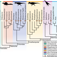 수각류 공룡들의 대퇴골 형태의 진화