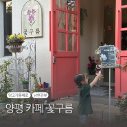 [경기 양평] 강하면에 위치한 생망고를 통째로 올려주는 남한강뷰 카페 "꽃구름"