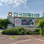 일산 꽃시장 대화동 한국화훼농협 영업시간 주차 정보 일산식쇼핑