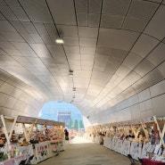 [서울 중구] 서울 가볼만한 곳 DDP 디자인동물원 방문 및 체험