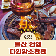울산 언양 소고기 가성비 좋은 현지인 맛집 다인암소한판