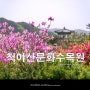 철쭉 만개한 척야산문화수목원 , 홍천 5월 여행지