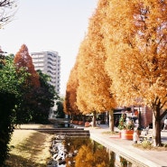 Nagoya,Ganazawa