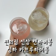 GS25신상 편의점 싱하 카브루하이볼