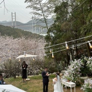 [BESHINE] 봄날의 매력, 창원 야외결혼식과 벚꽃웨딩은 창원 샤인웨딩