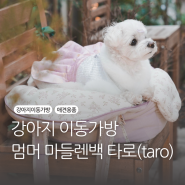 [멈머] 마들렌백(mummur madeleine bag) 강아지 이동가방 / 기내가방