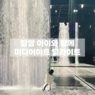 담양 아이랑 갈만한곳 미디어아트 딜라이트